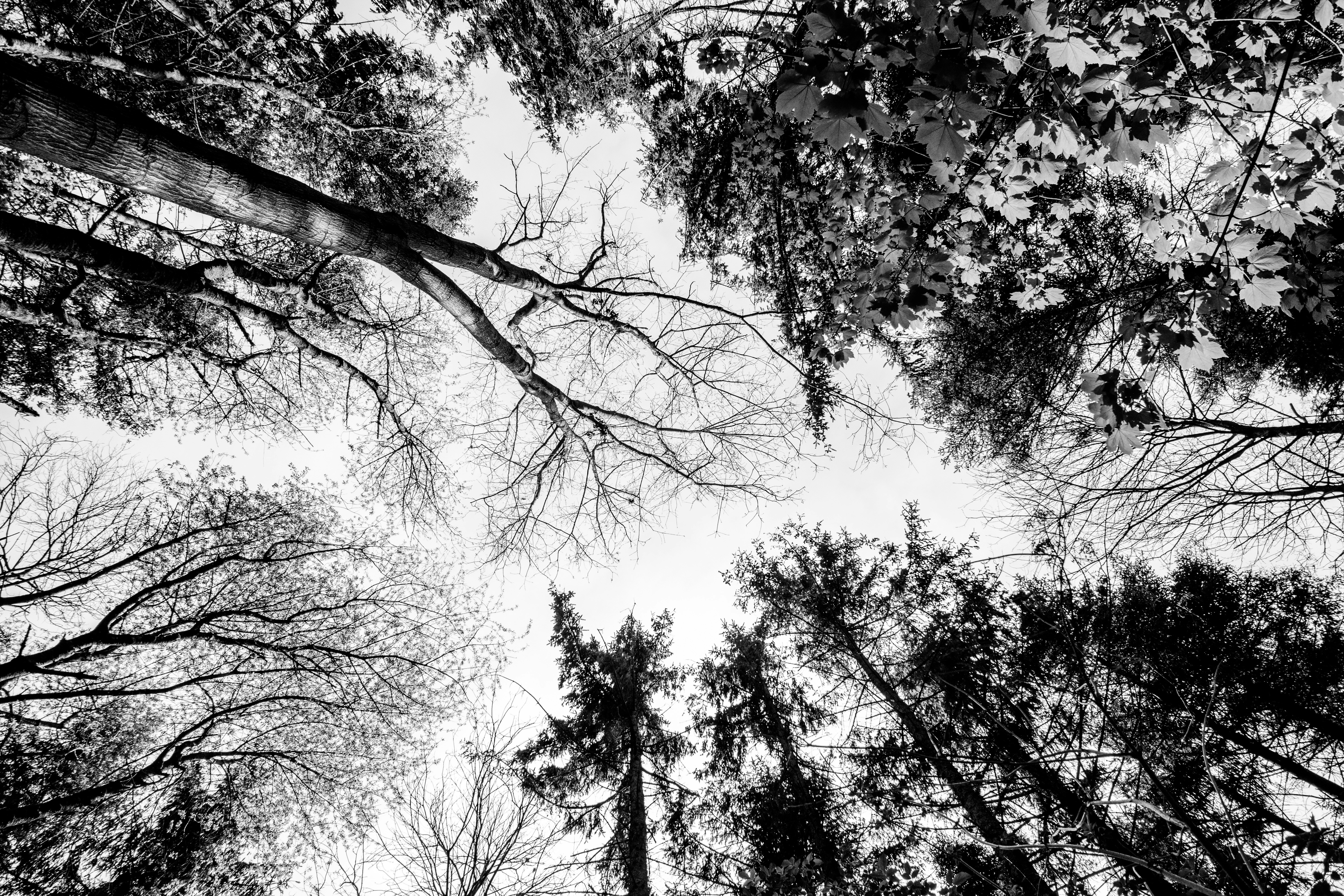 Quels sont les meilleurs coachs sportifs à Rennes ?