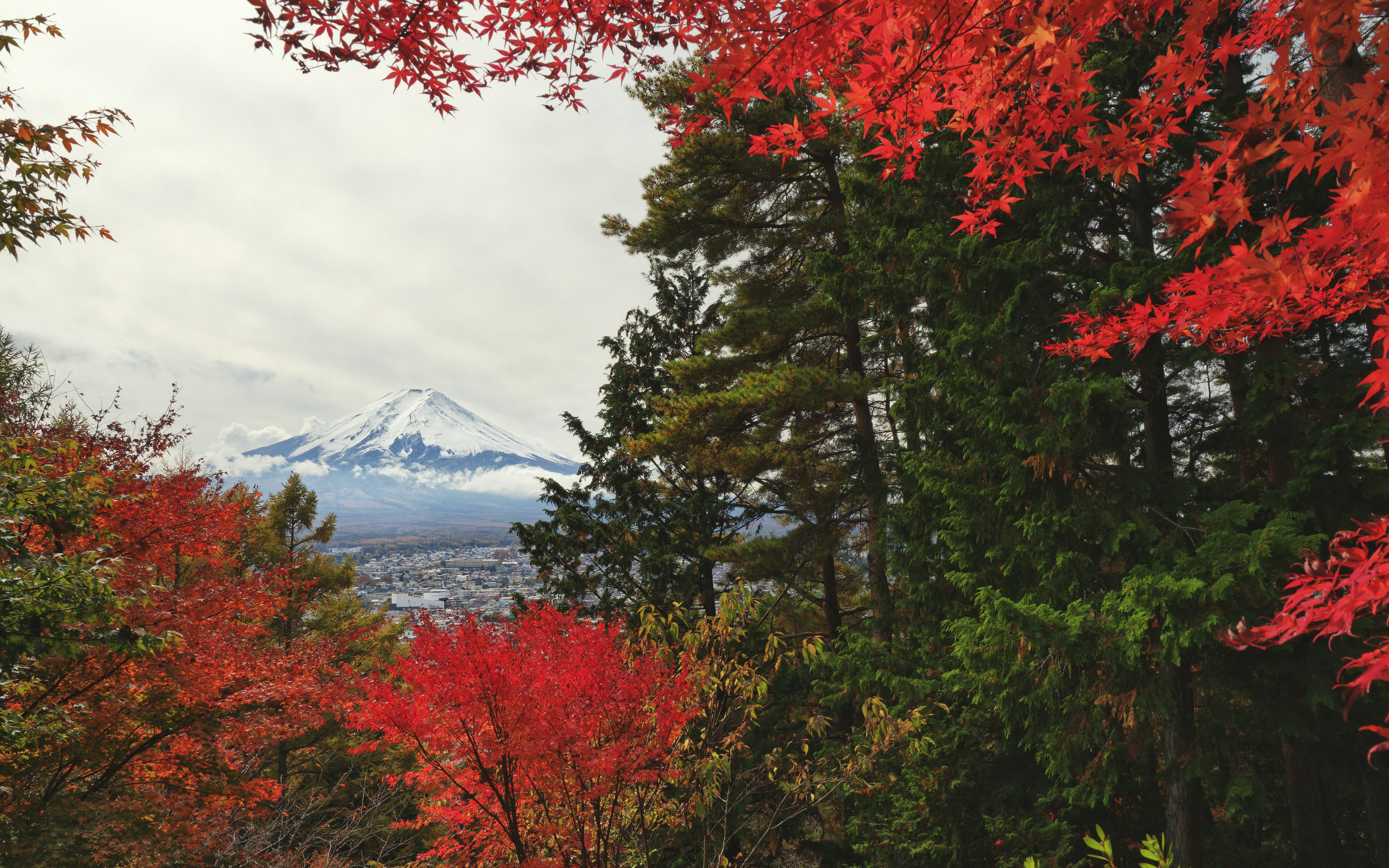 Photo by miyatankun