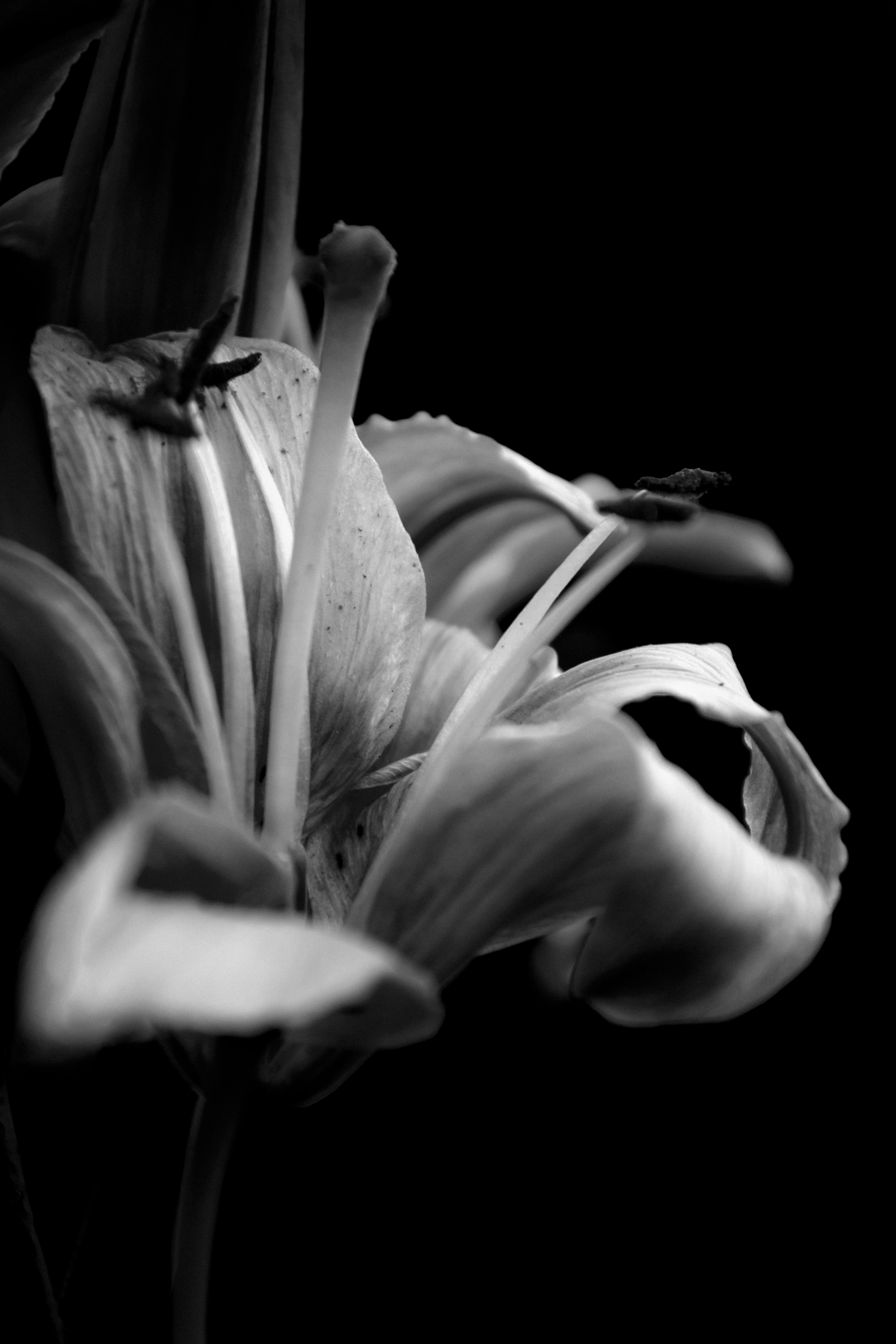 Photo by impermanent