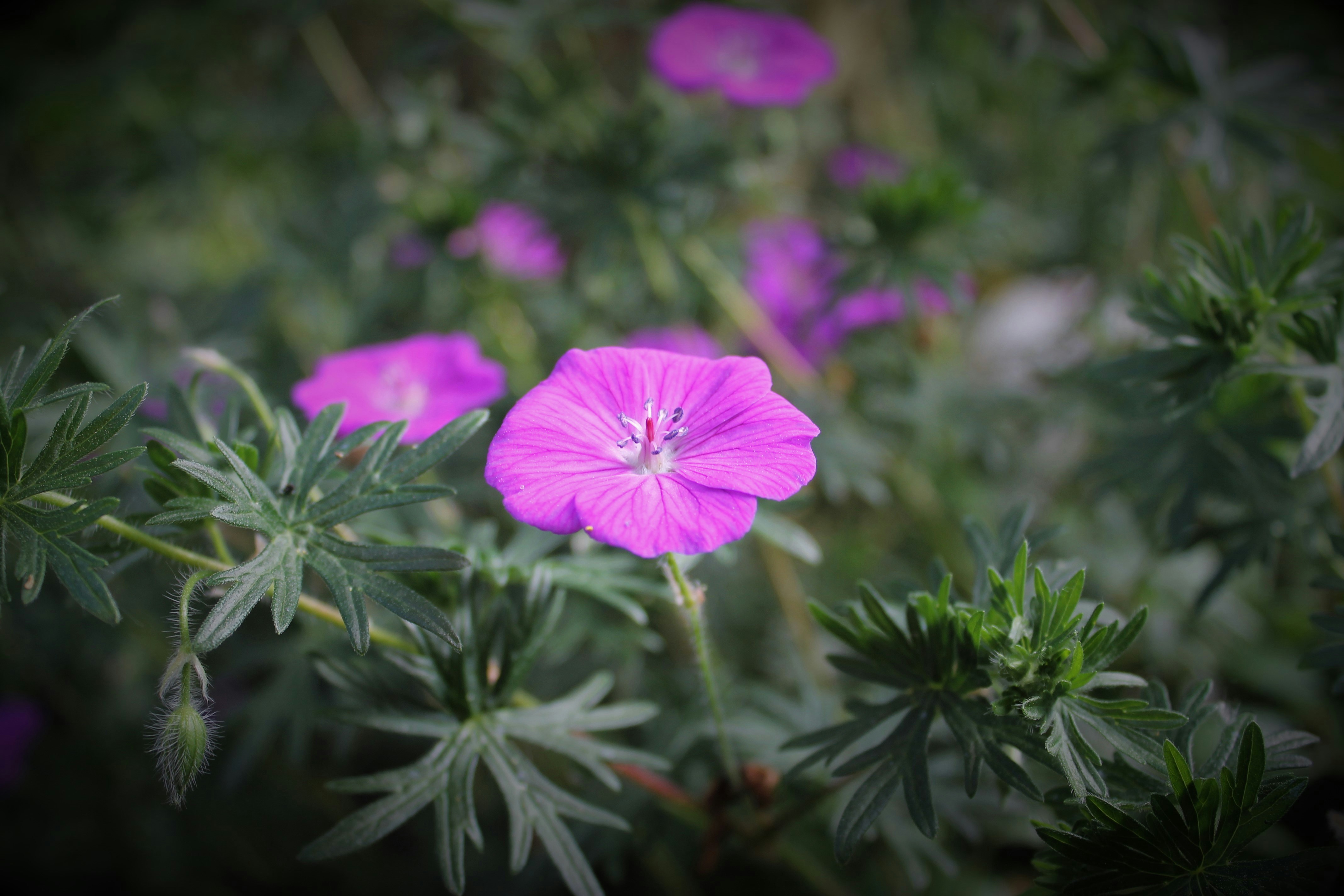 Photo by seedfeed