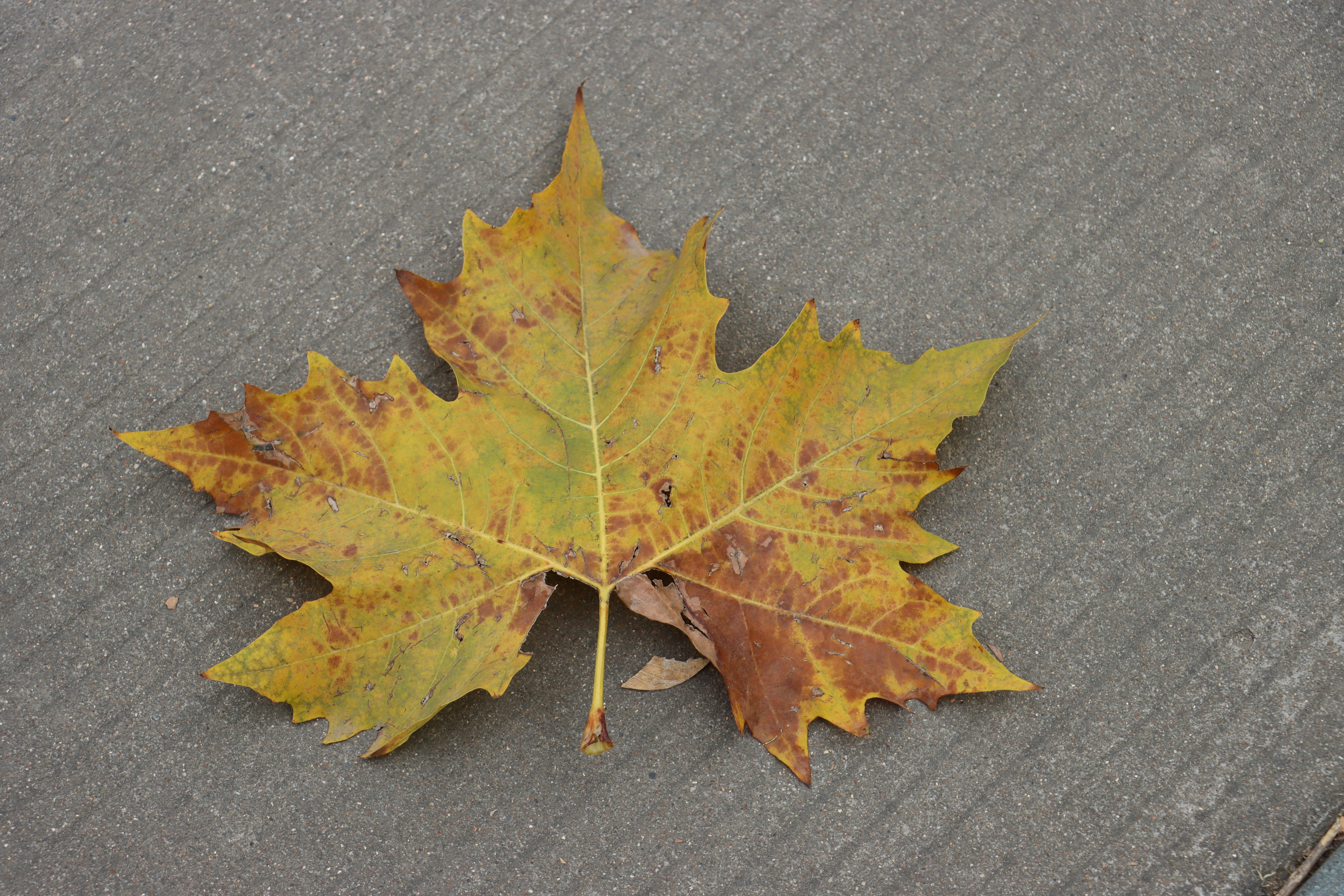 Photo by exploringzhongguo