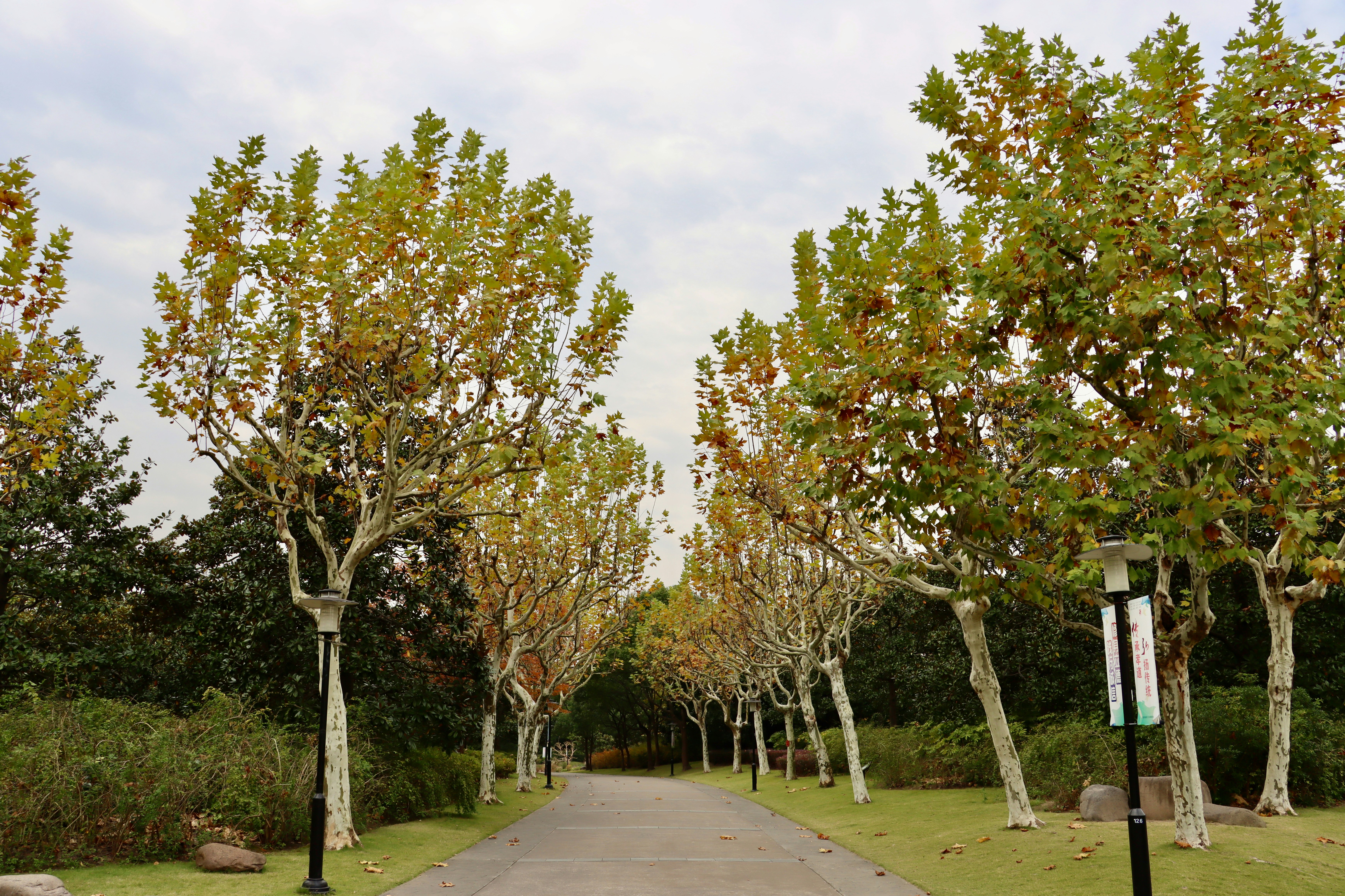 Photo by exploringzhongguo