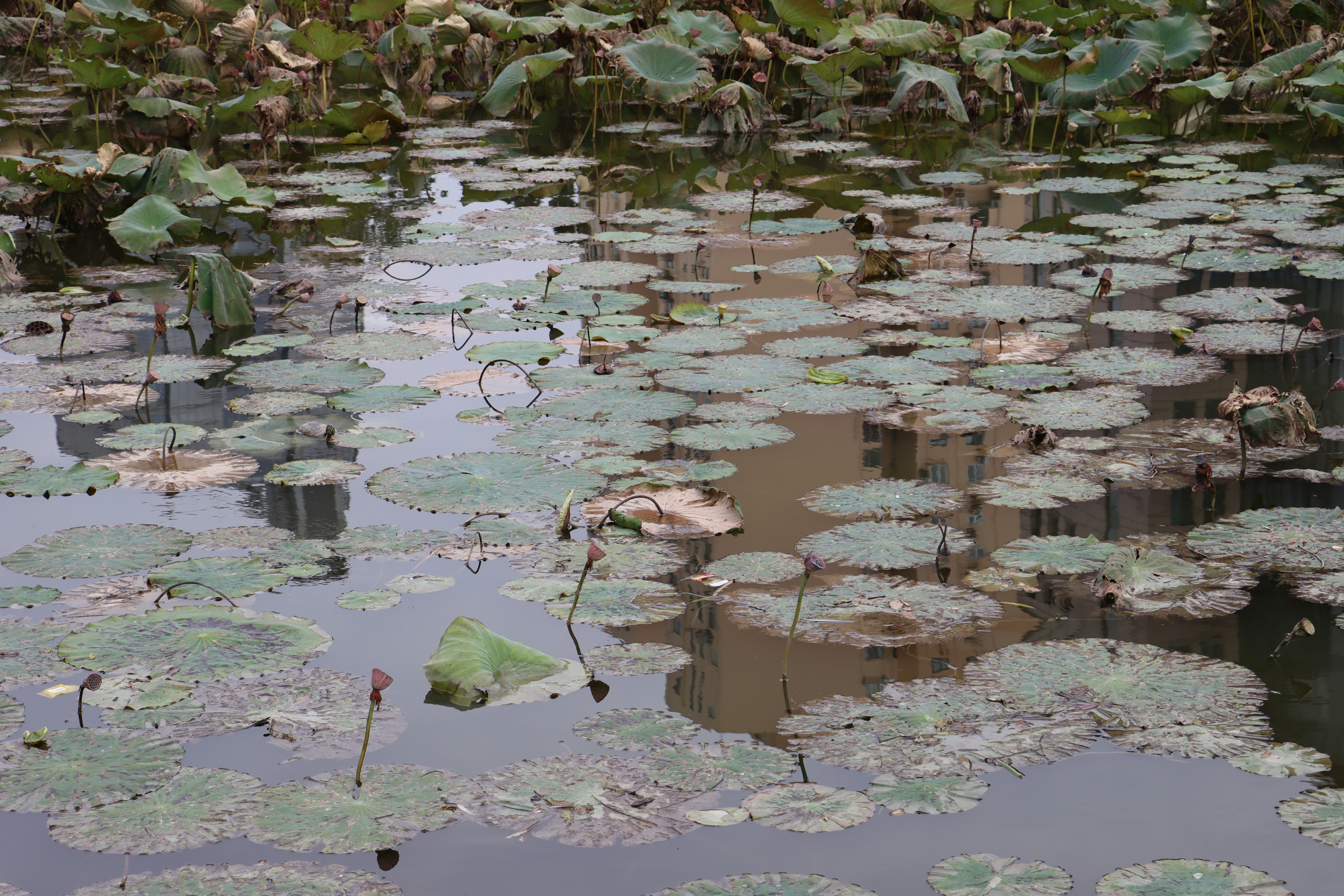 Photo by exploringzhongguo