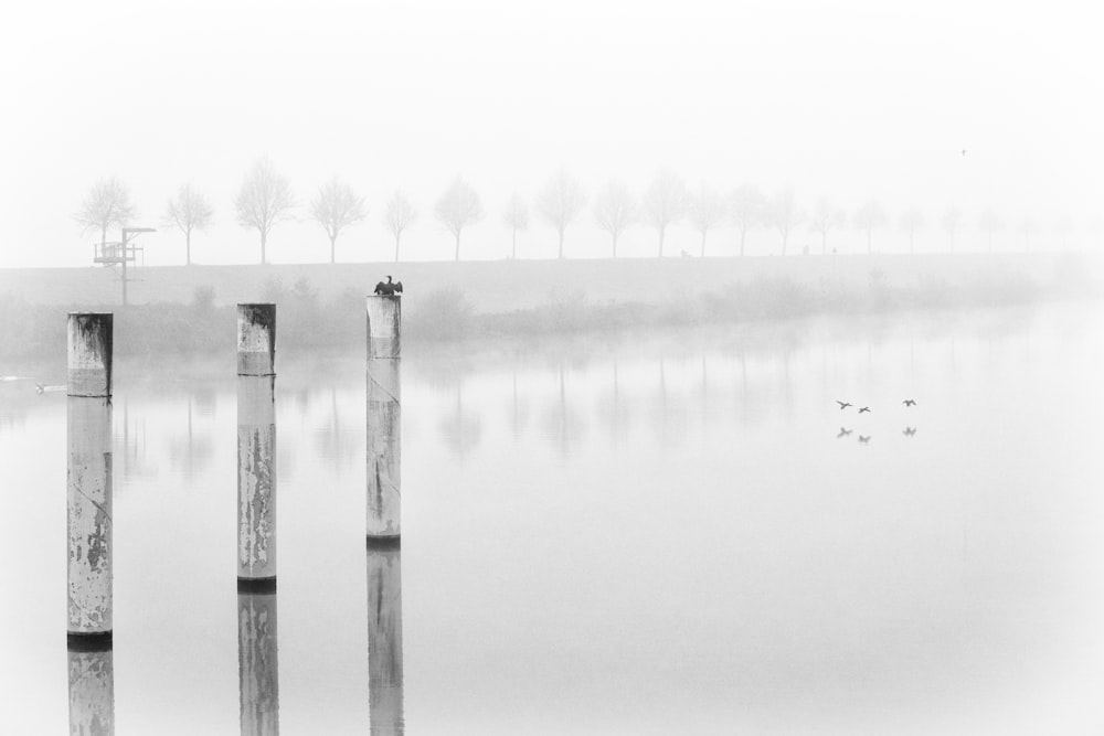 a black and white photo of a foggy lake