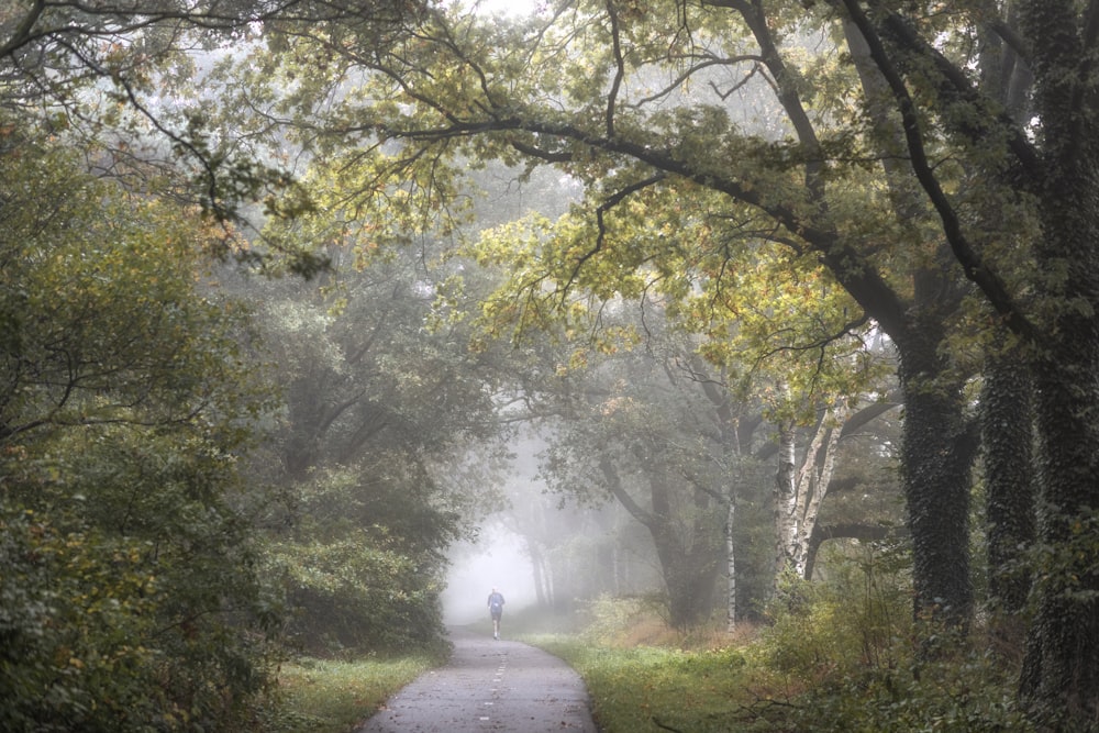 a person riding a bike down a road surrounded by trees