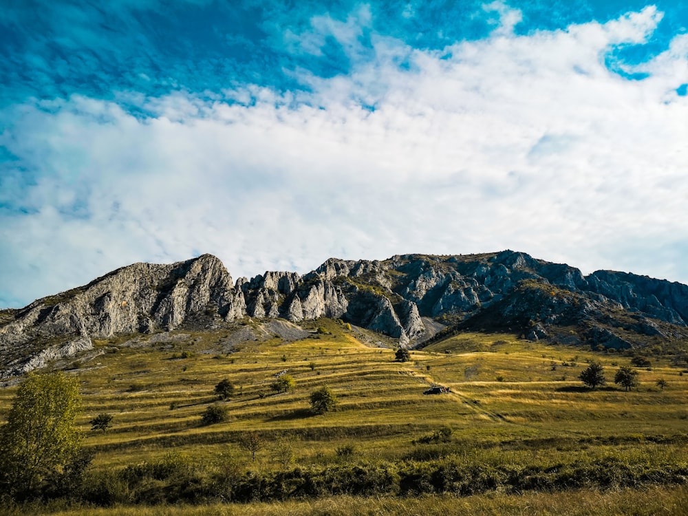 a grassy field with a mountain in the background