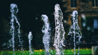 a group of water spouting from a fountain
