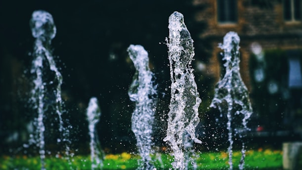 a group of water spouting from a fountain
