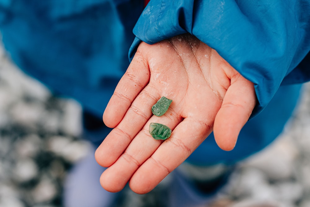 a person holding a small green object in their hand