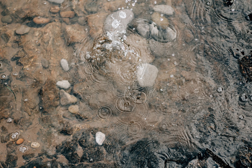 a close up of rocks and water in a stream