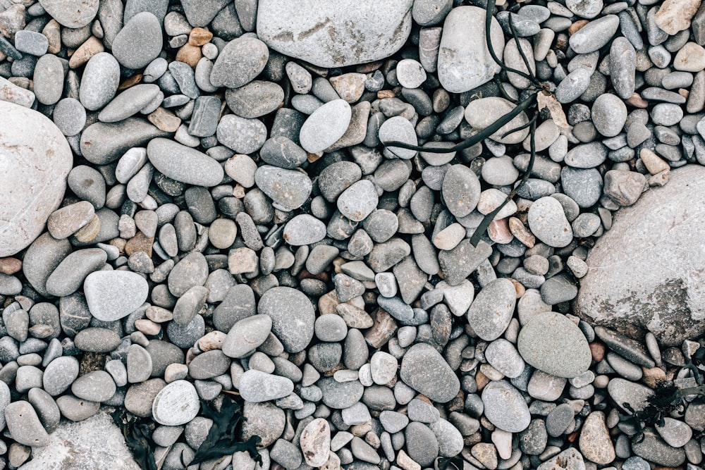 a bunch of rocks that are laying on the ground