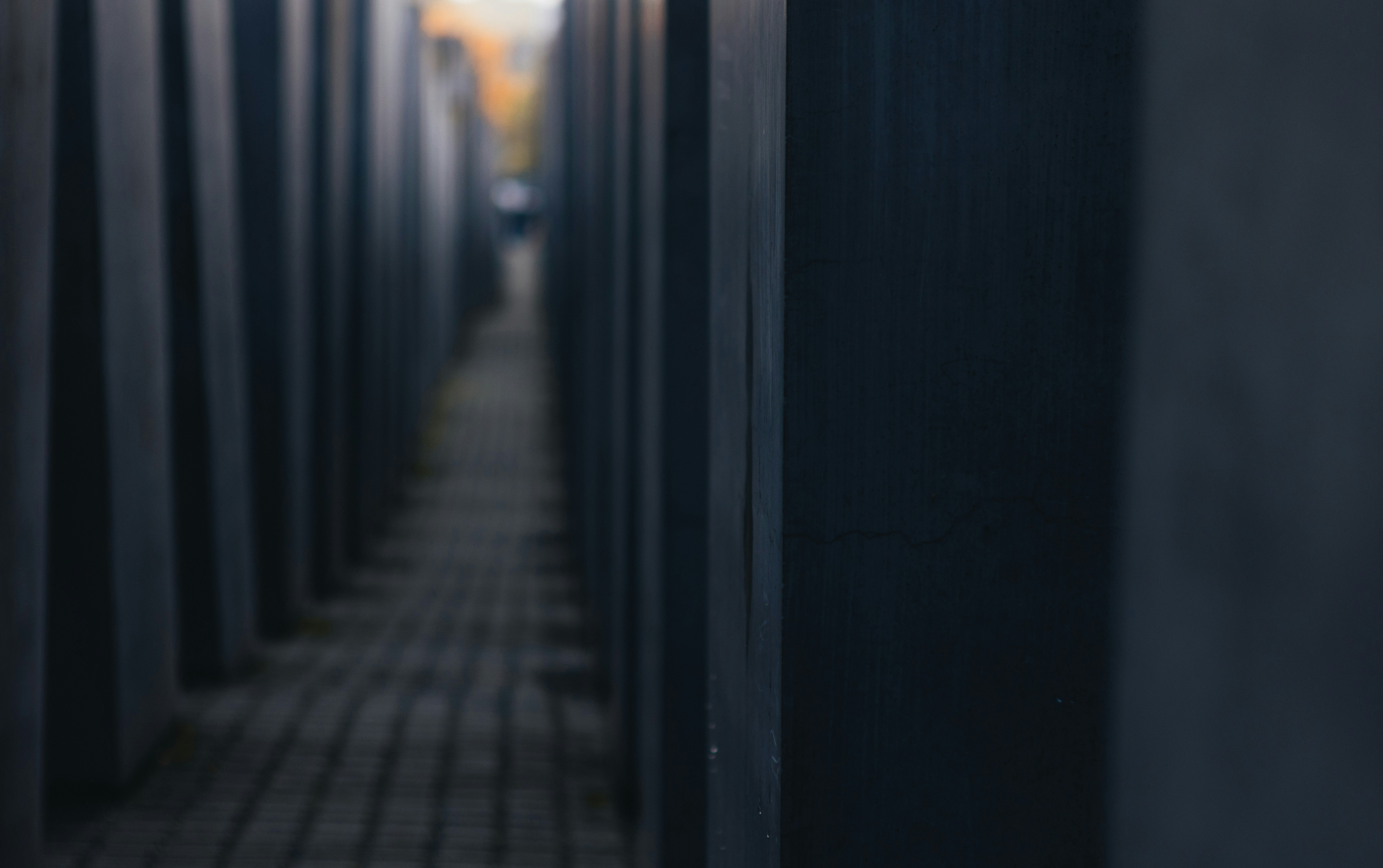 Photo by alex_gruber