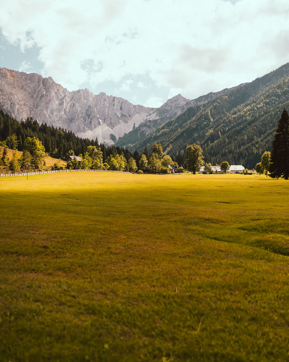 a grassy field with mountains in the background