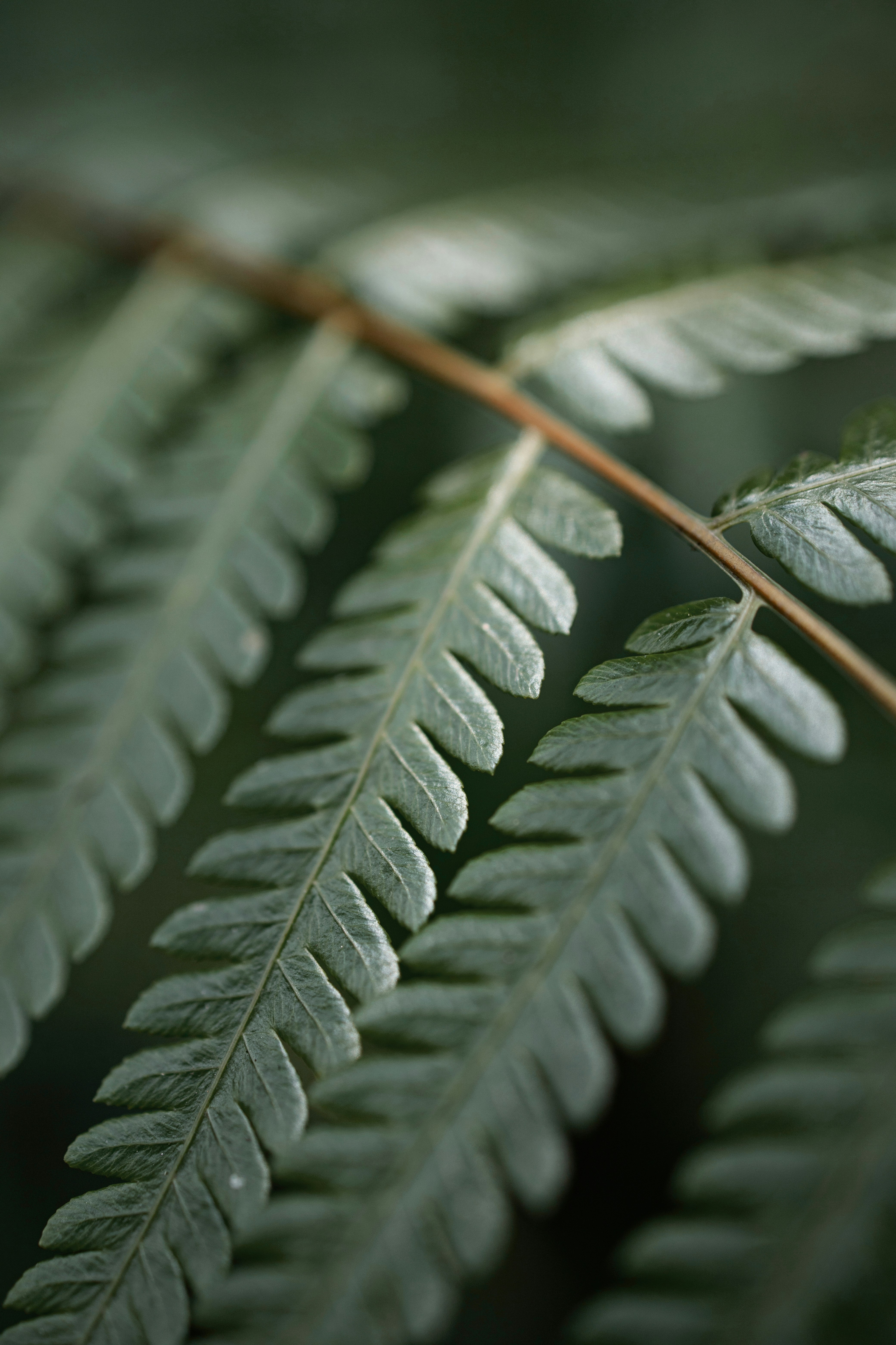 Photo by vinomamba24