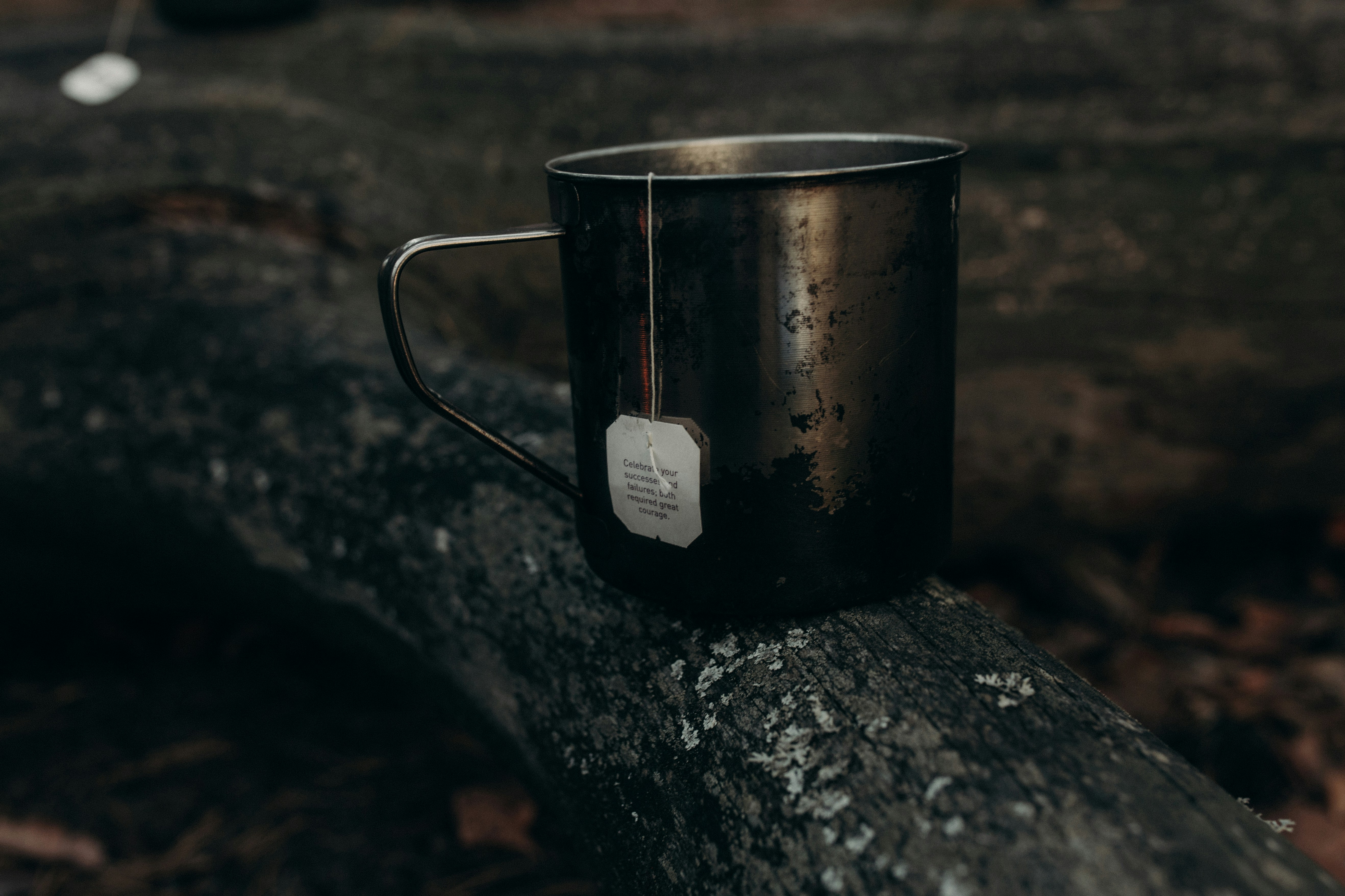 Photo by darkforestnymph