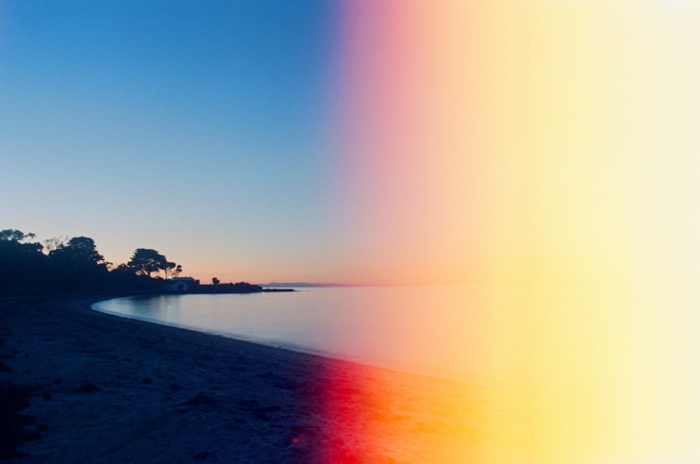 a picture of a beach with trees and water in the background