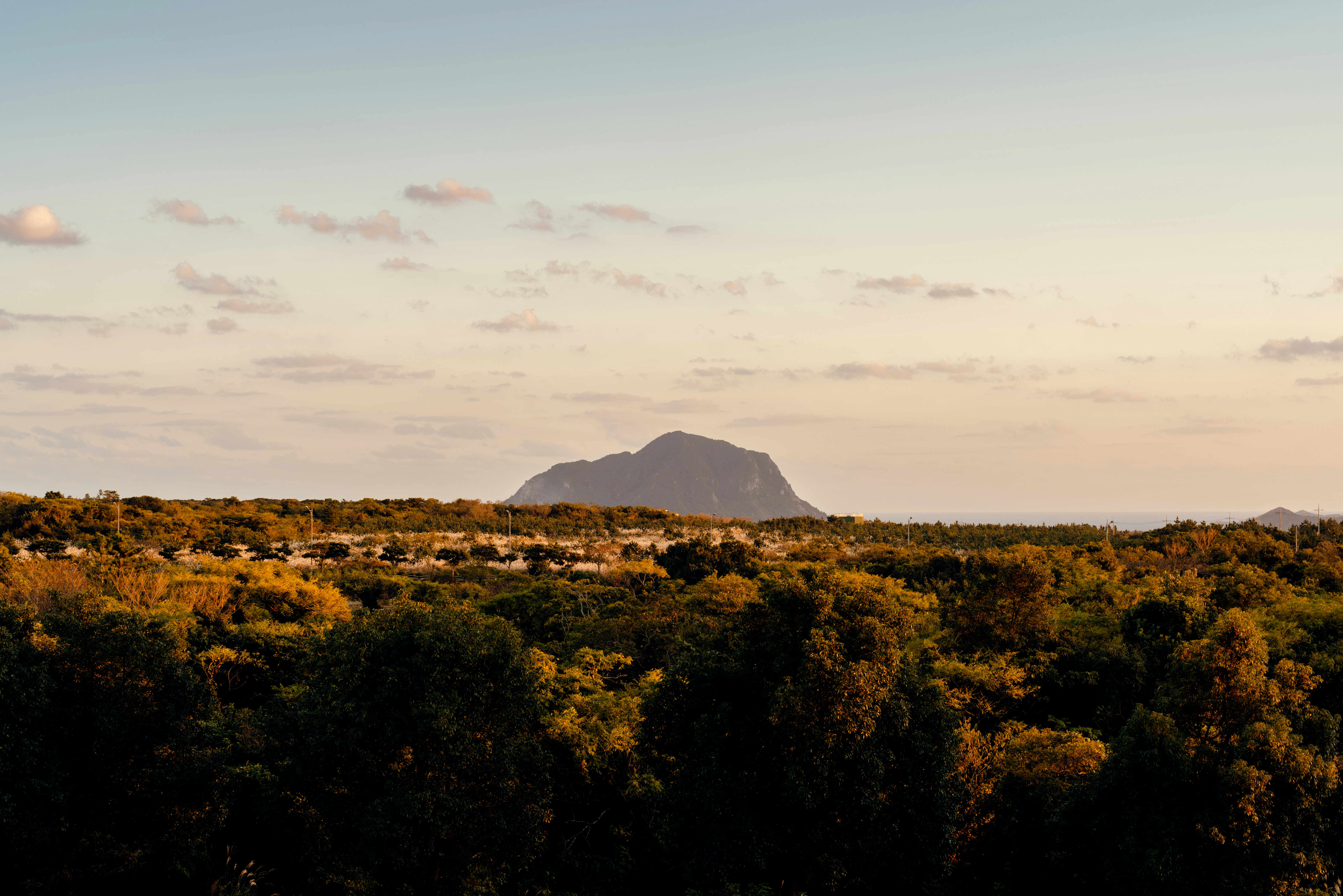 관세가 노리는 진짜 적, "브릭스" / 돌아온 중국 큰손, 제주가 웃는다