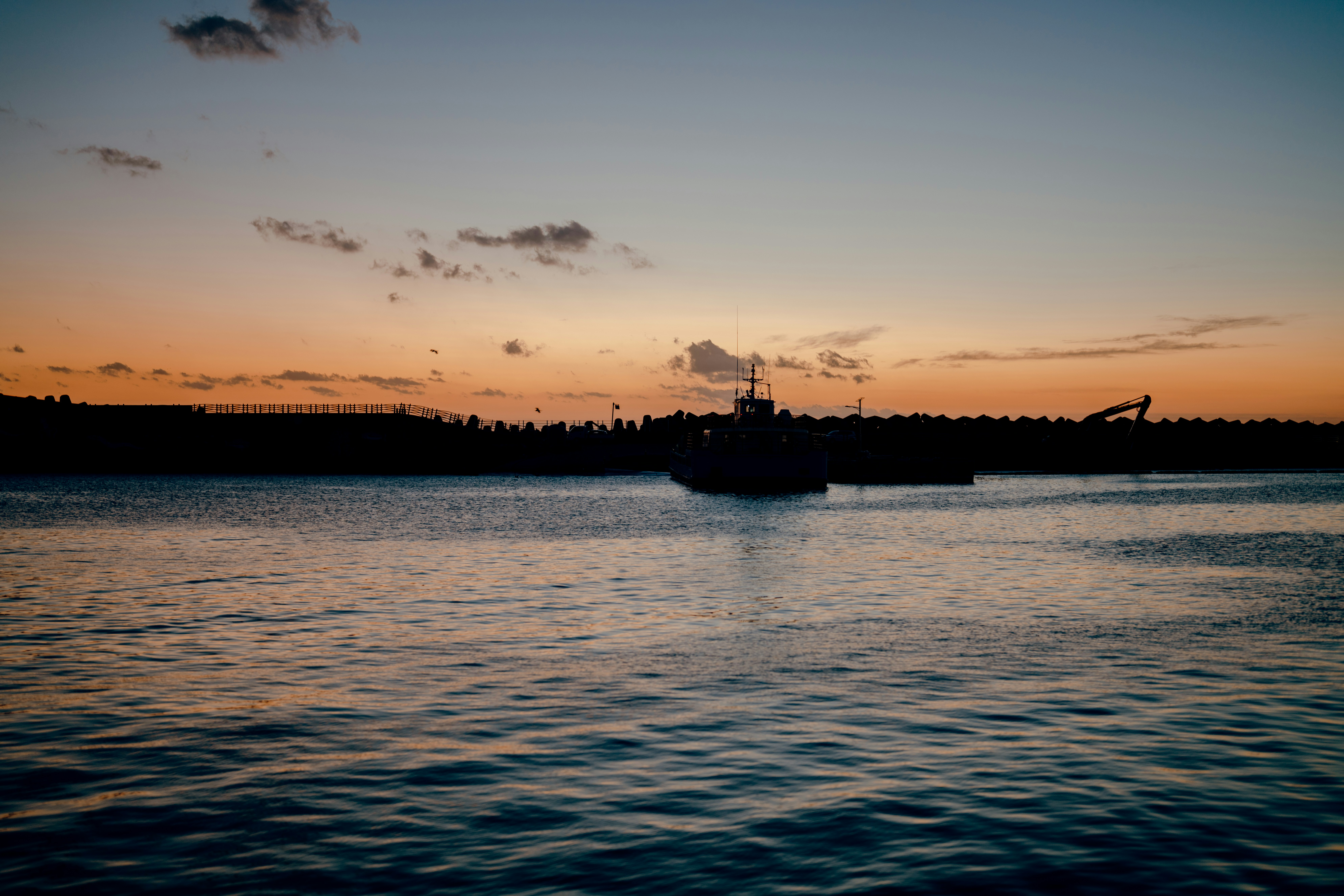 제주 퍼시픽 렌트카 - 안전하고 편리한 제주 자유여행을 위한 선택