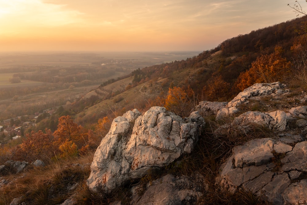 a view of a valley from a high hill