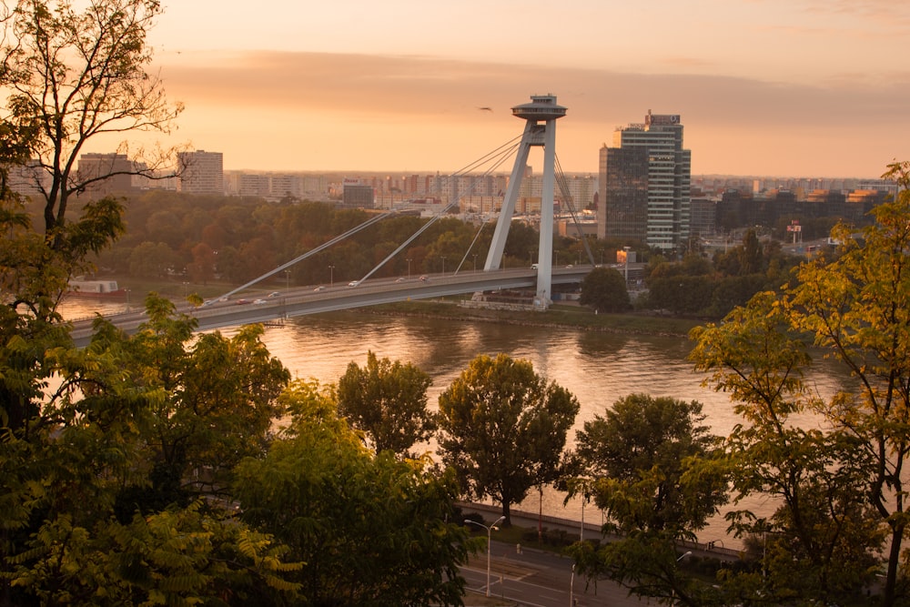 a bridge over a river with a city in the background