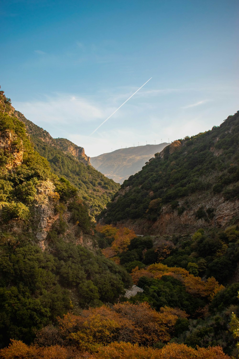 a view of a valley with trees and mountains in the background