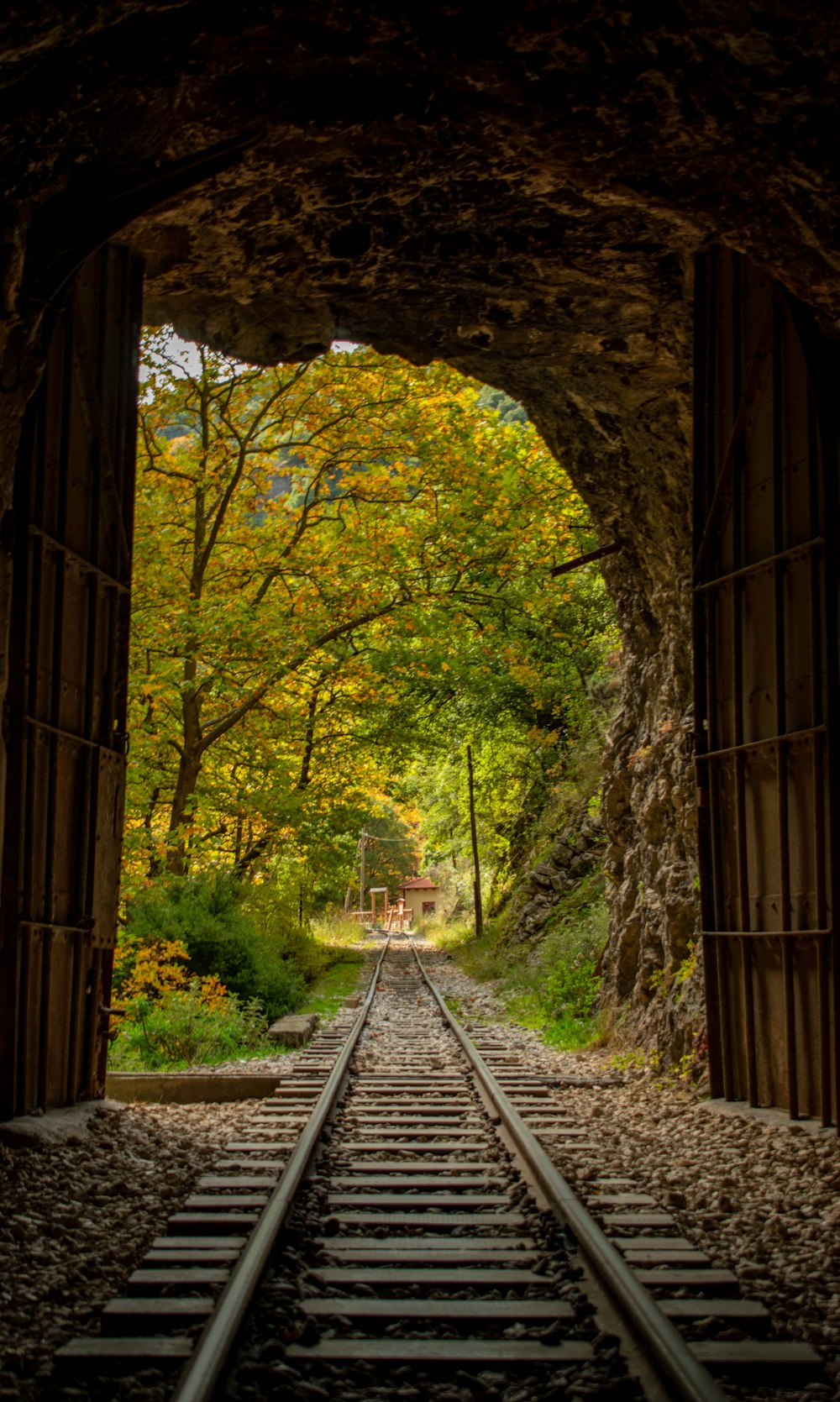 une voie ferrée traversant un tunnel avec des arbres en arrière-plan