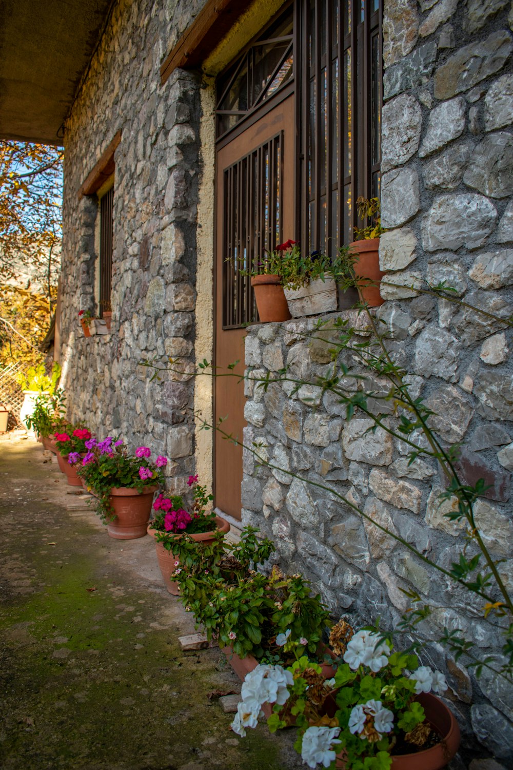 a row of potted plants next to a stone building