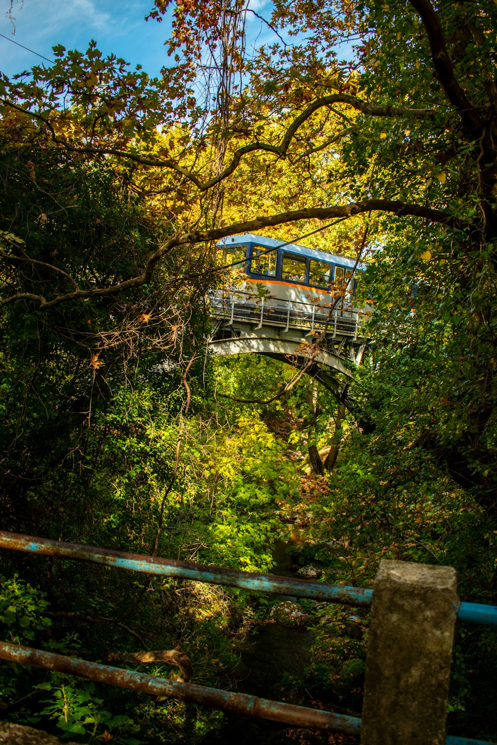 a train traveling over a bridge in the middle of a forest