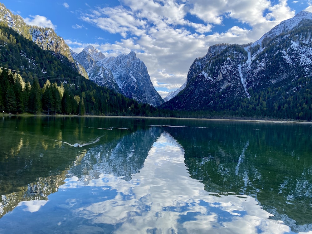 a body of water surrounded by mountains and trees