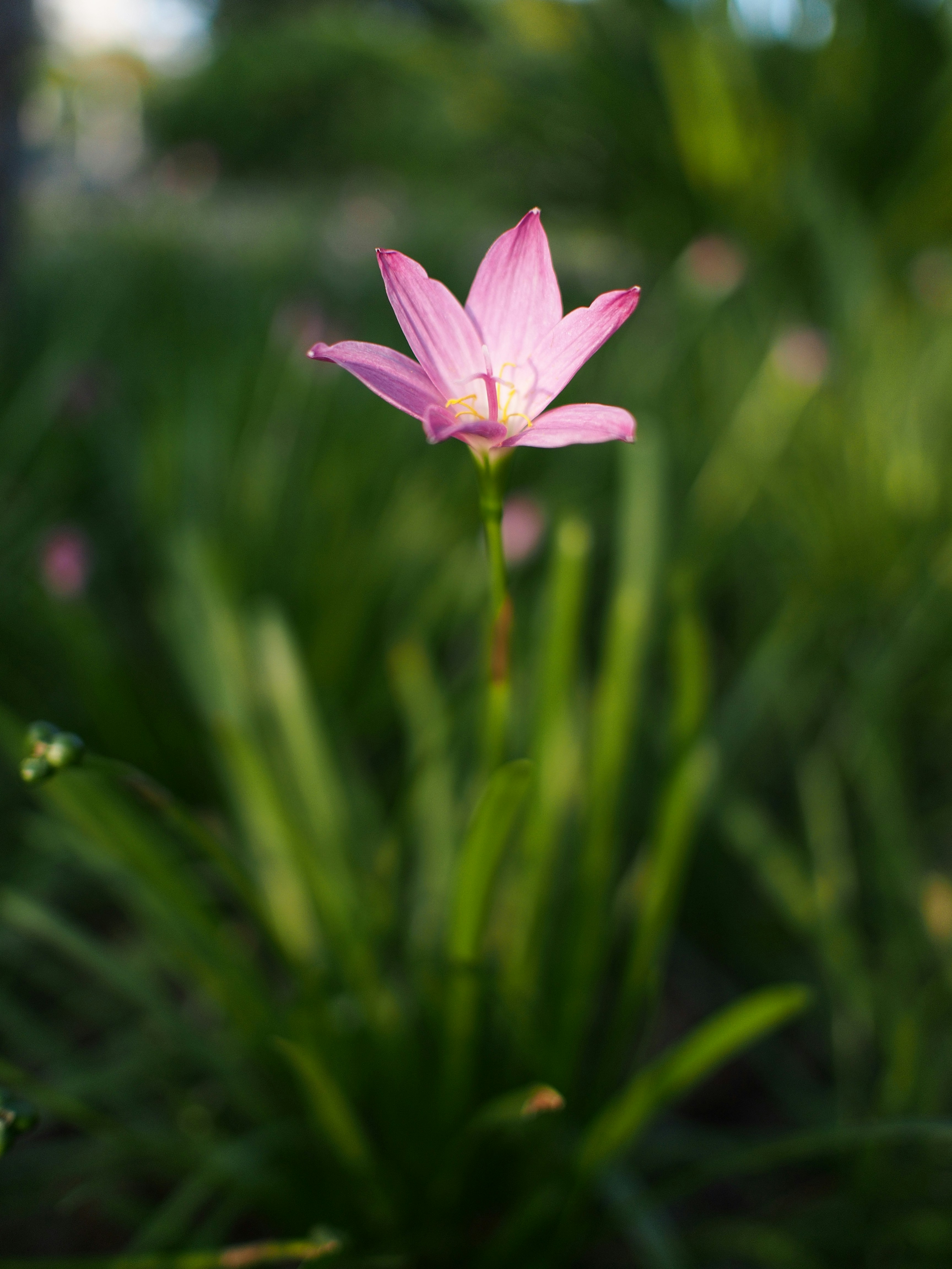 Photo by haimourinho