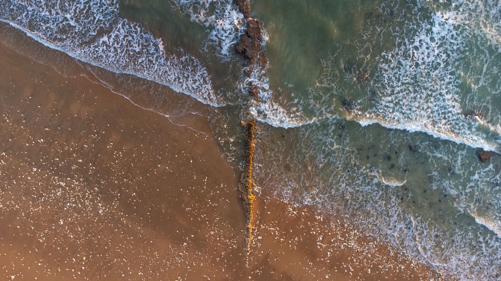 an aerial view of a beach and ocean