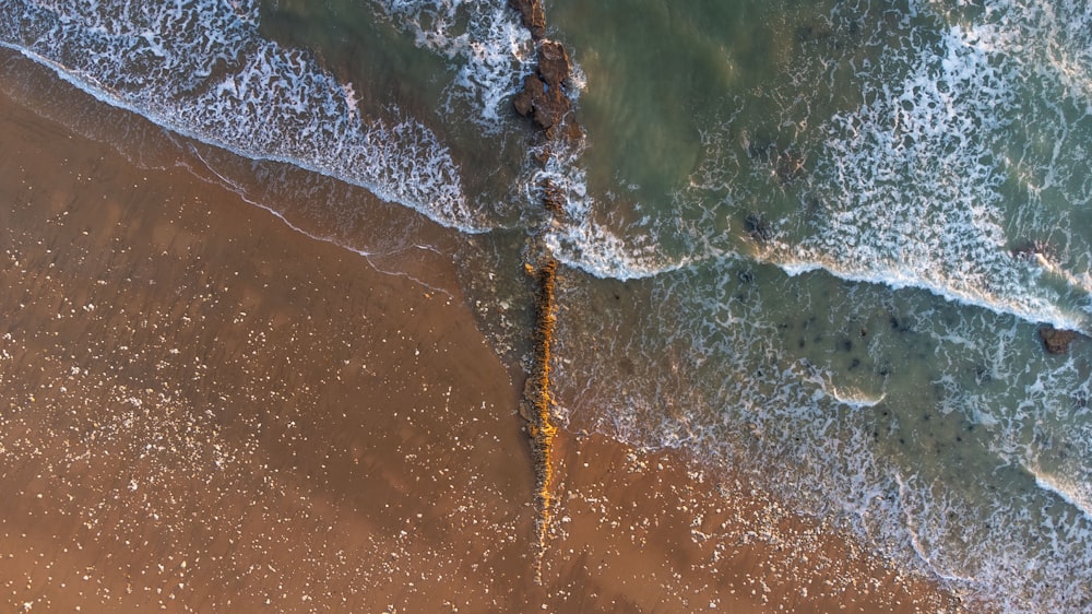 Eine Luftaufnahme eines Strandes und eines Ozeans