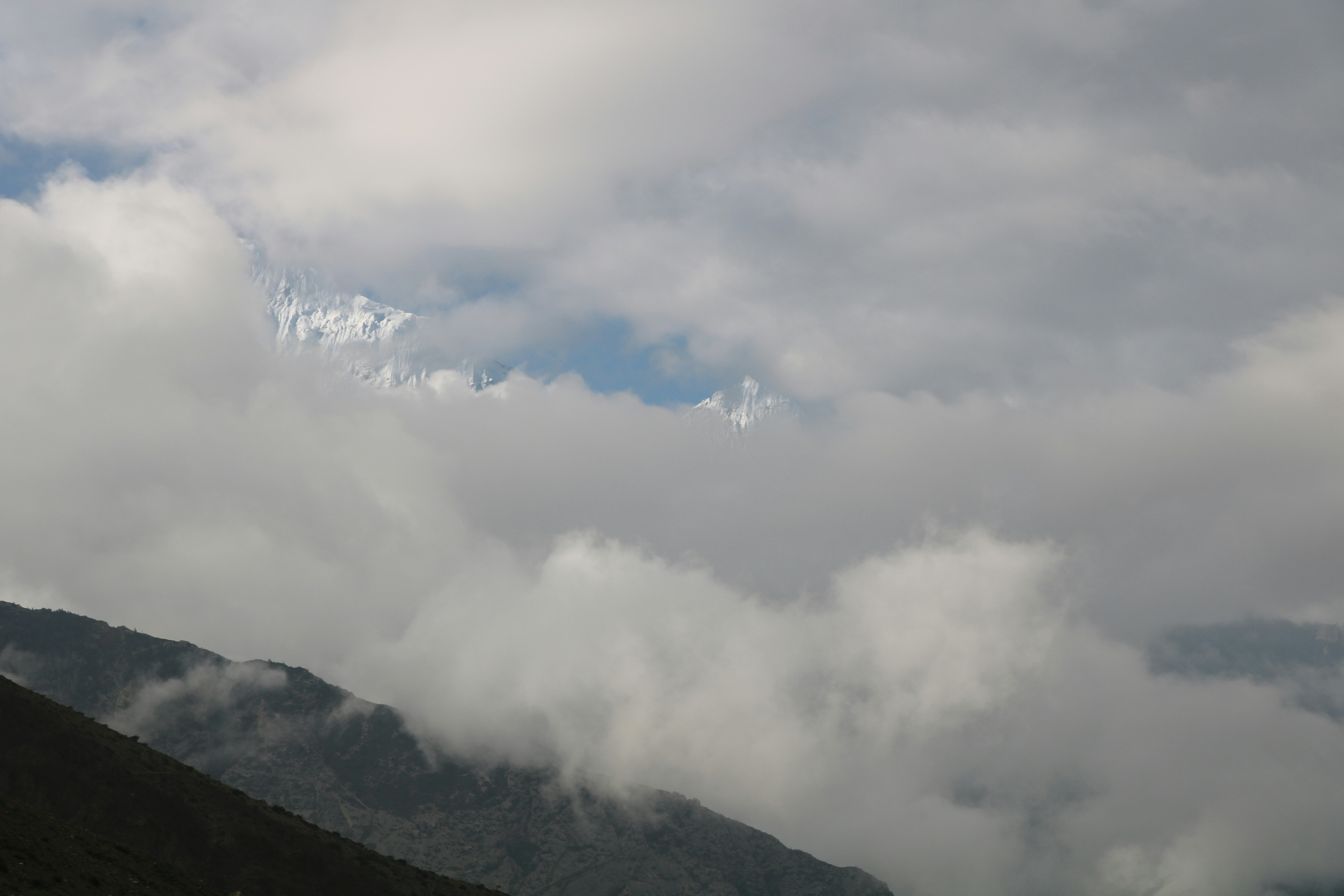 Photo by satyalprajwal