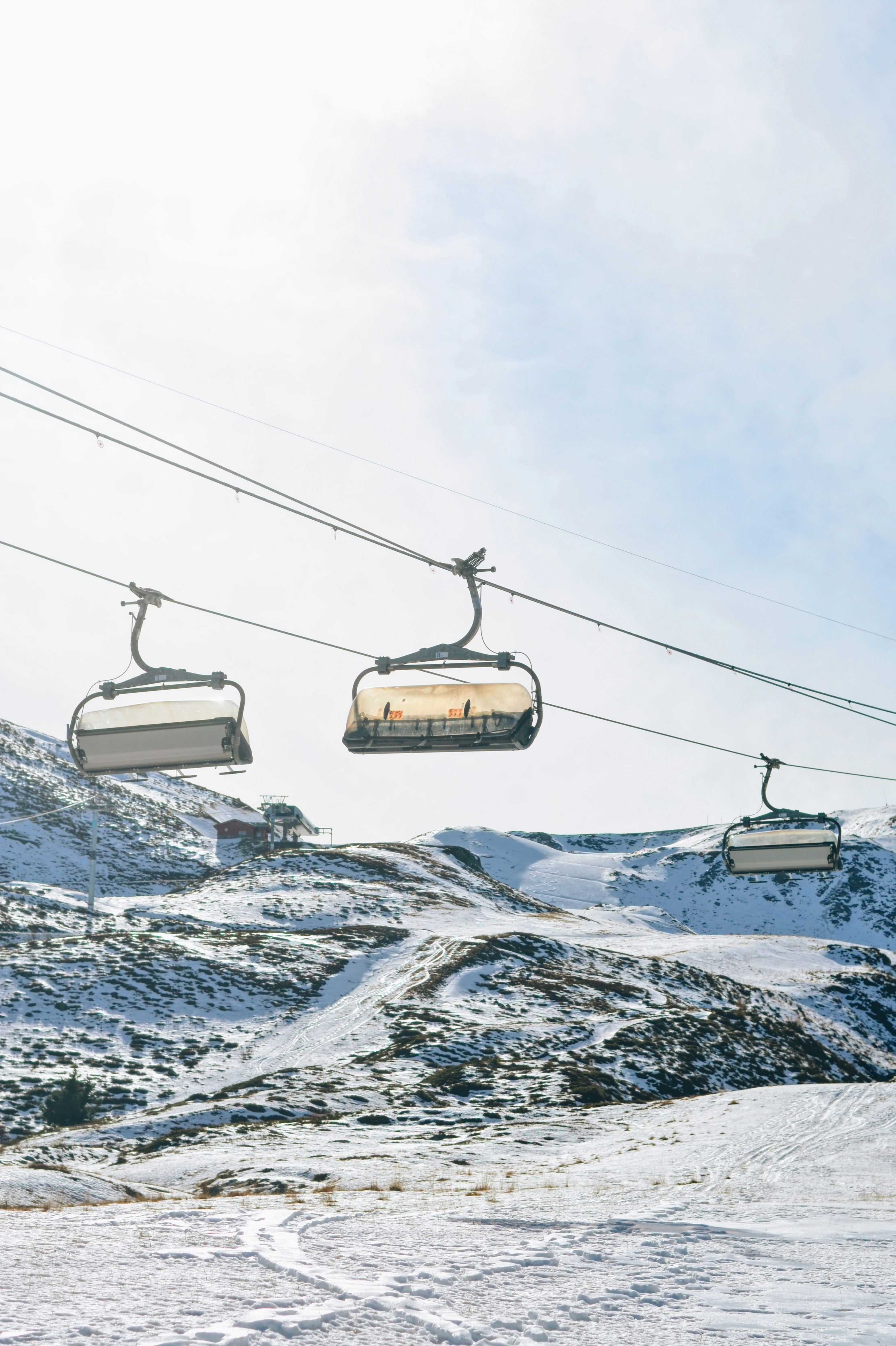 Photo by carolinehdz