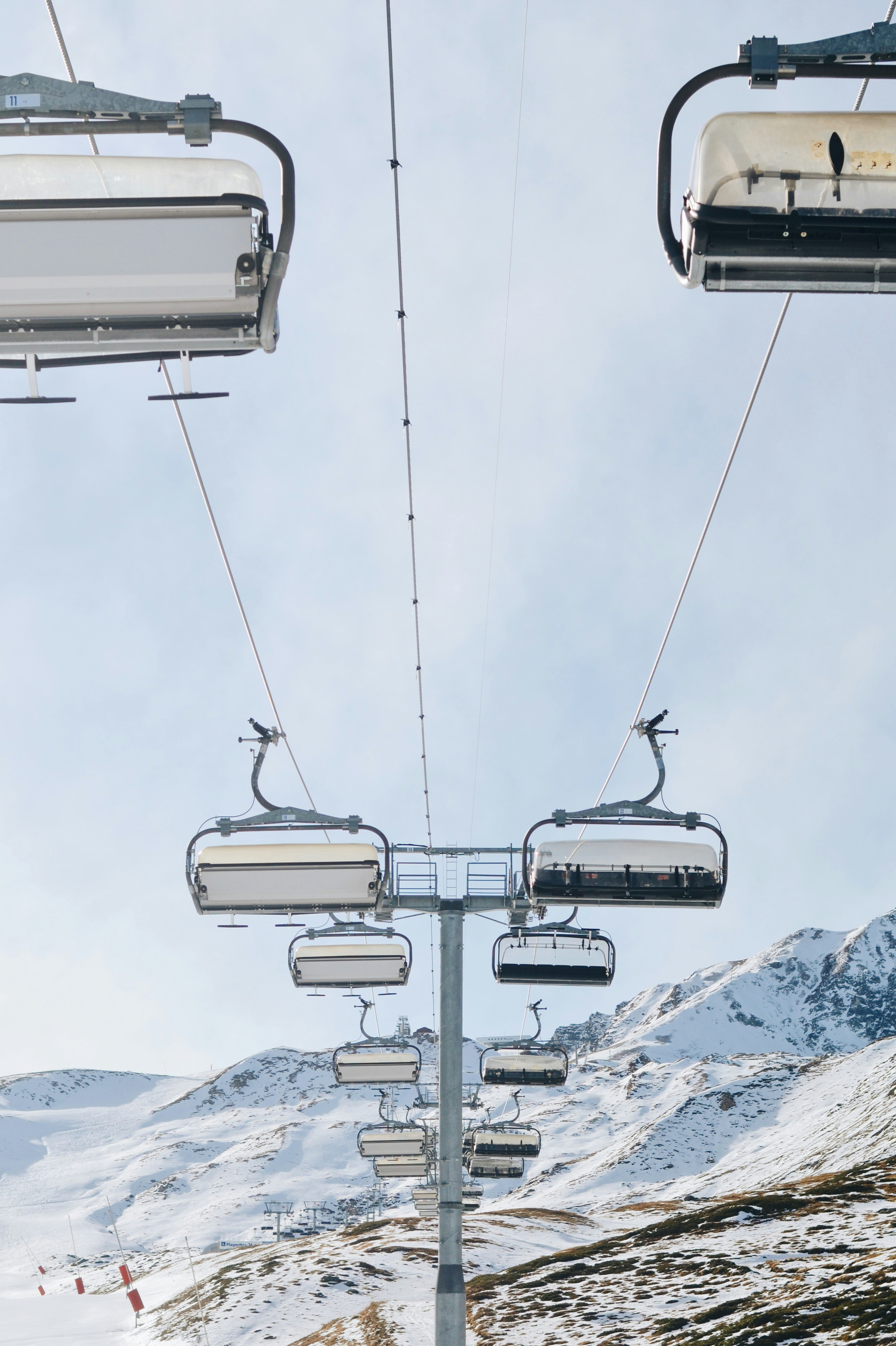 Photo by carolinehdz