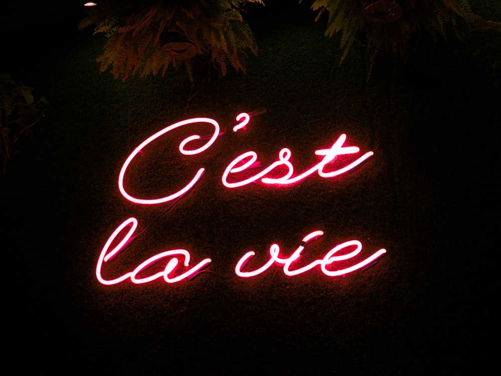 a neon sign that reads, cest la vie