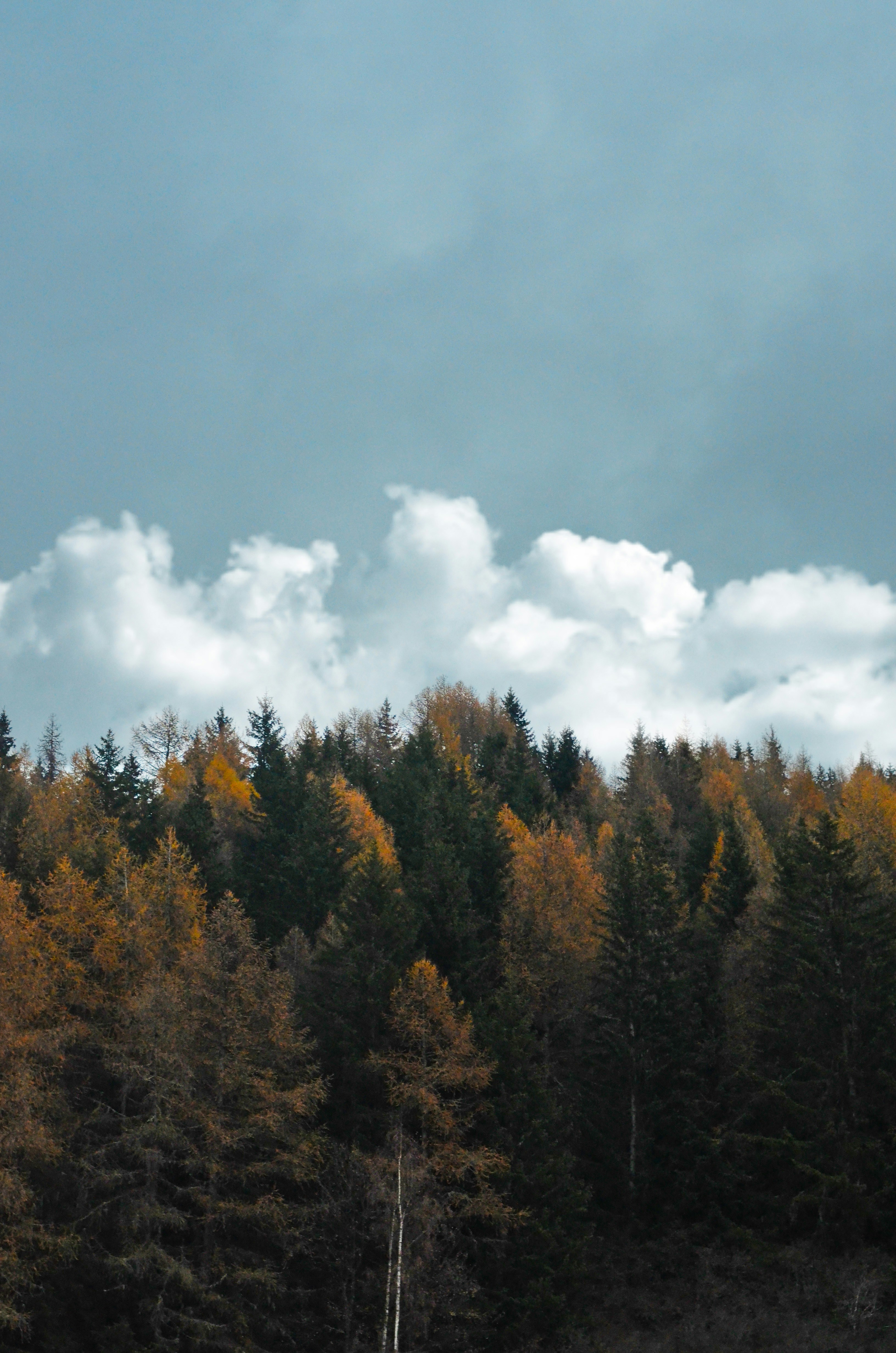 Photo by carolinehdz