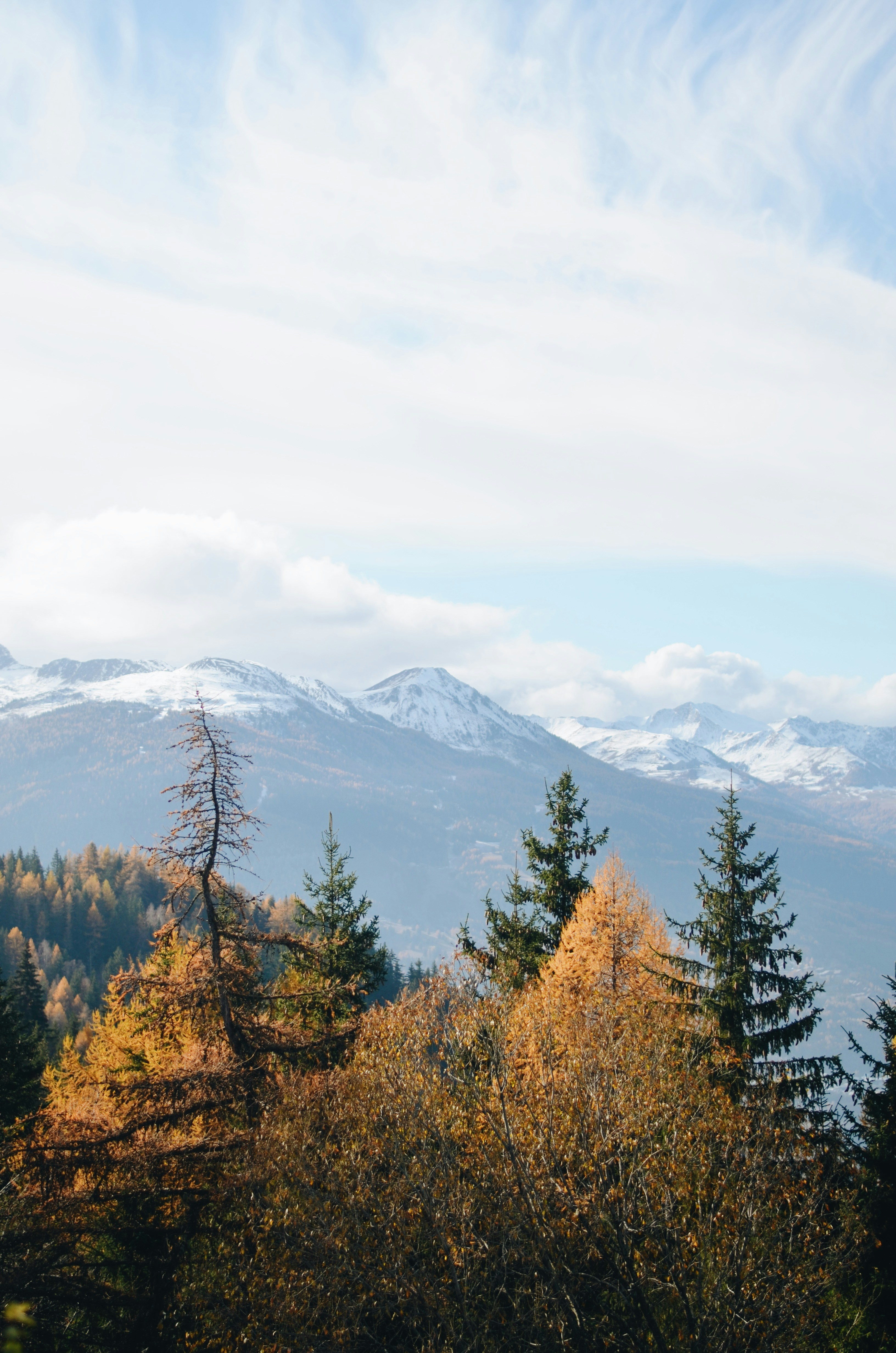 Photo by carolinehdz