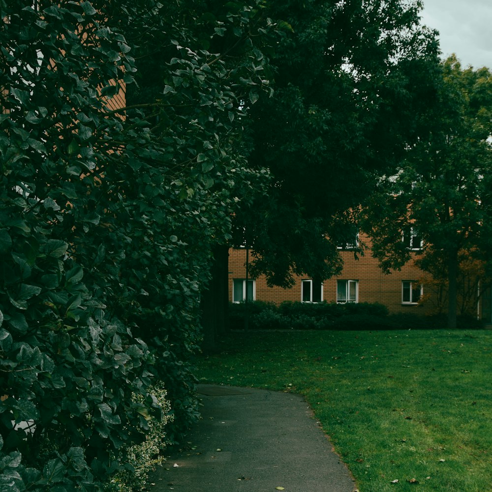 Una casa con un orologio sul davanti foto – Università di westminster  Immagine gratuita su Unsplash