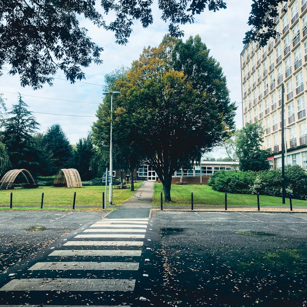 a view of a park with a playground in the background