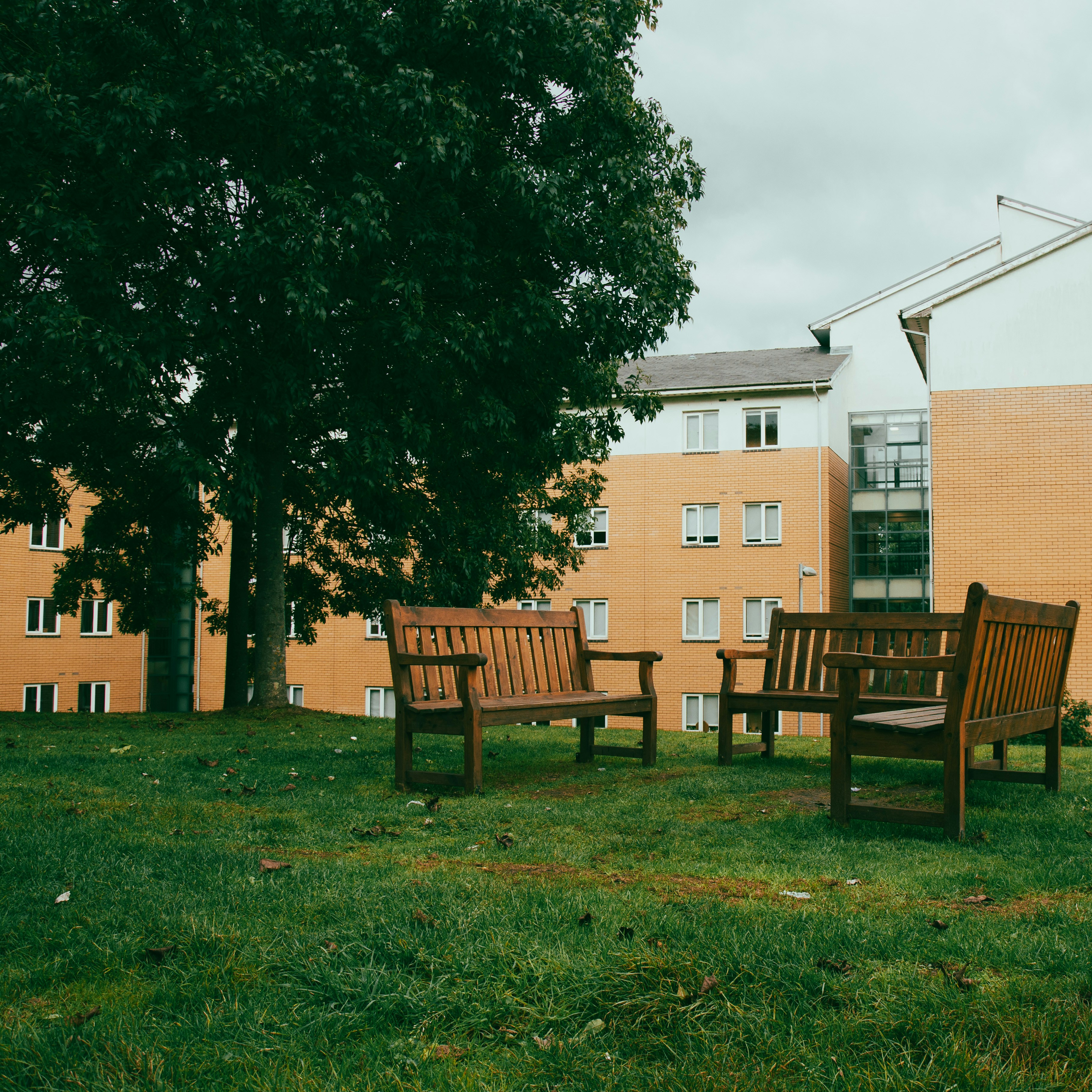 un groupe de bancs en bois assis au sommet d’un champ verdoyant