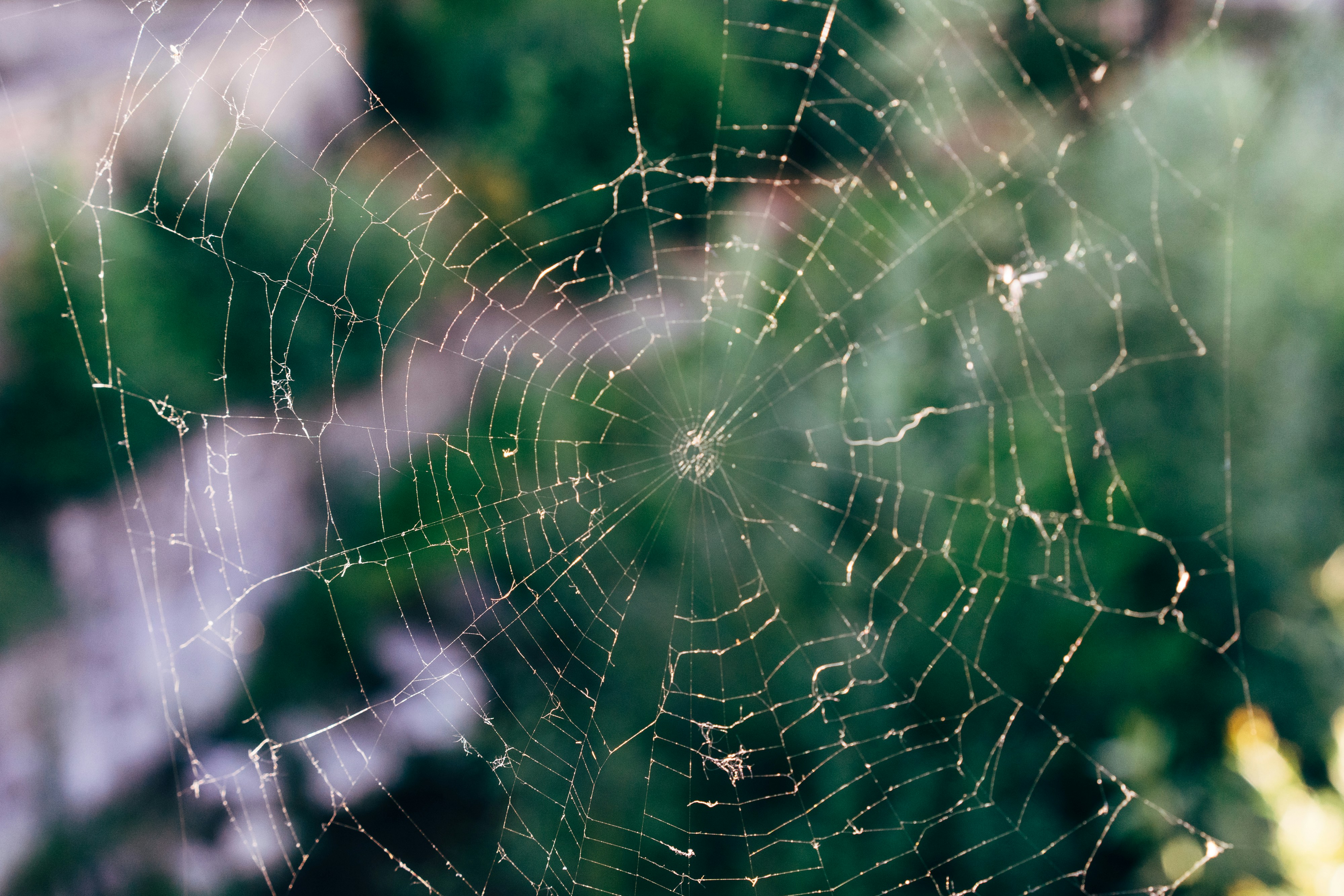 Photo by markuswinkler