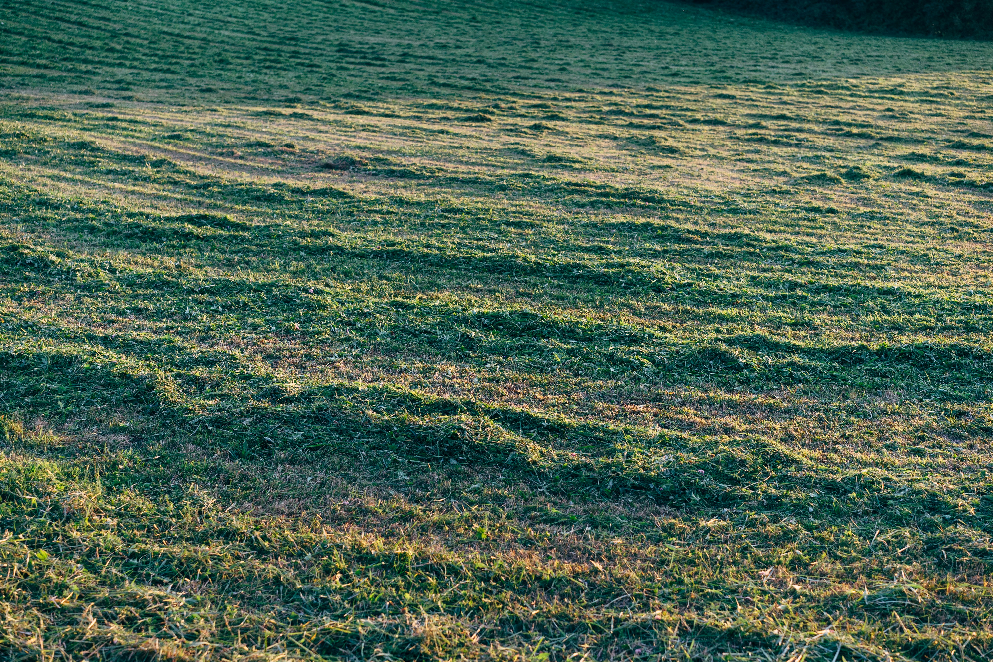 Photo by markuswinkler