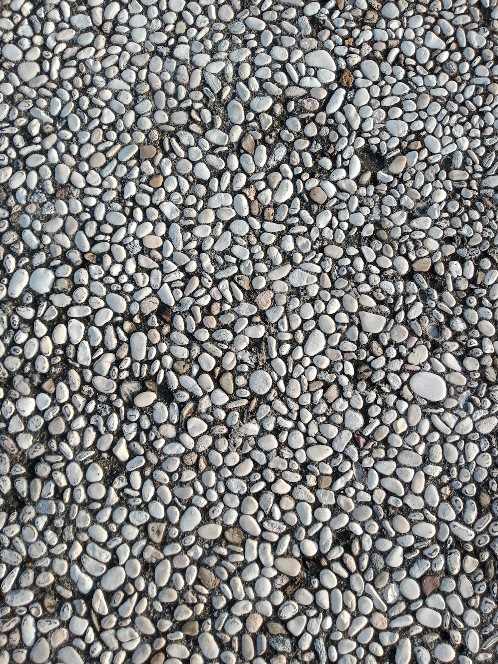 a black and white photo of rocks and gravel