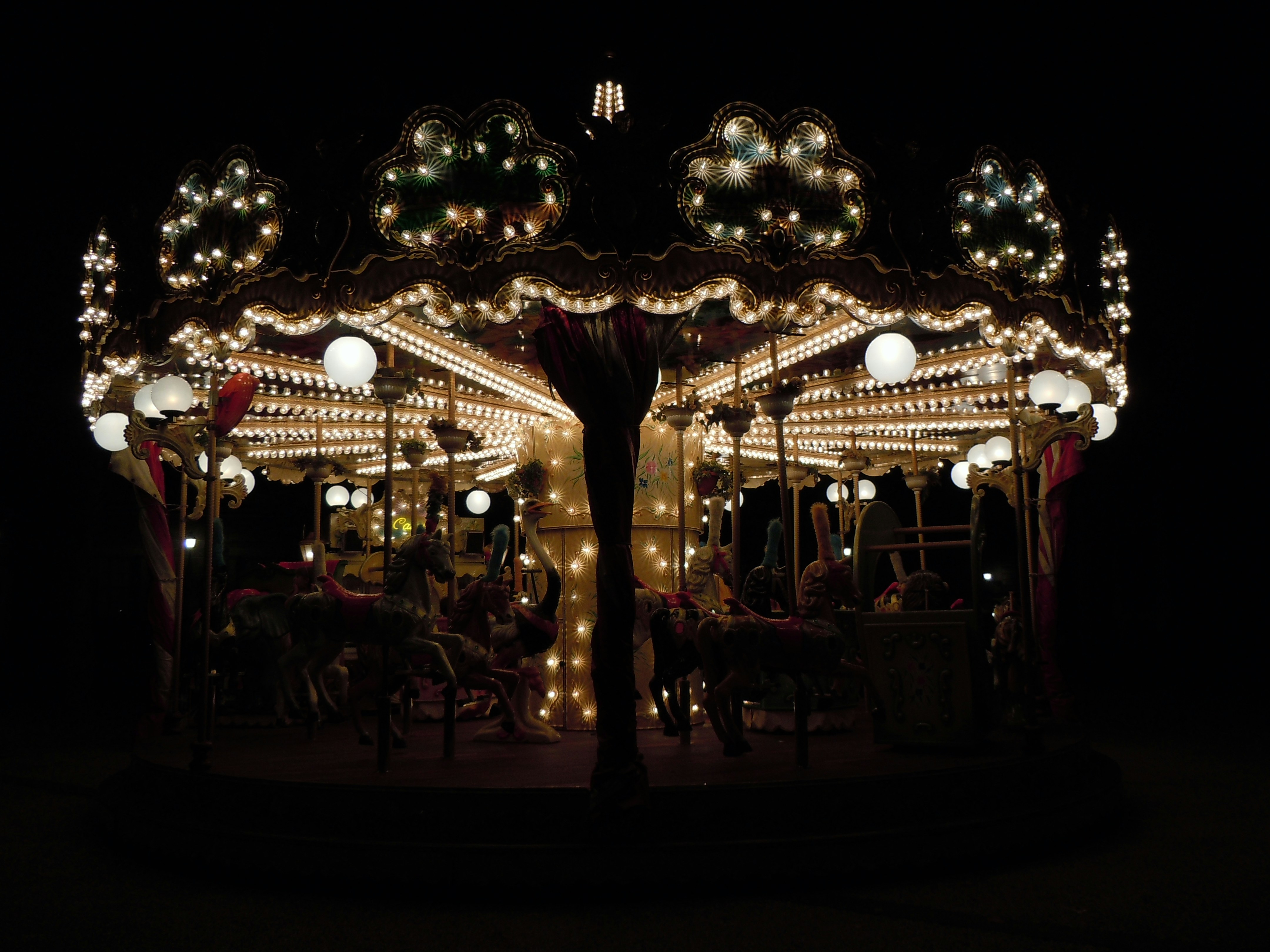 a merry go round in the dark with lights