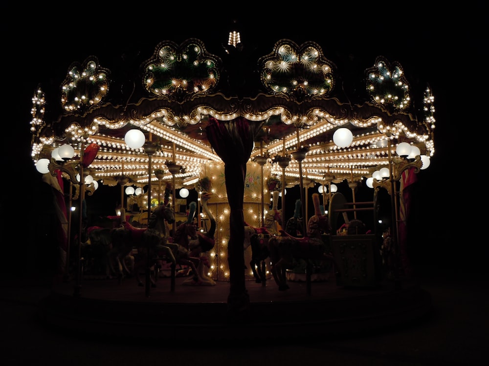 a merry go round in the dark with lights