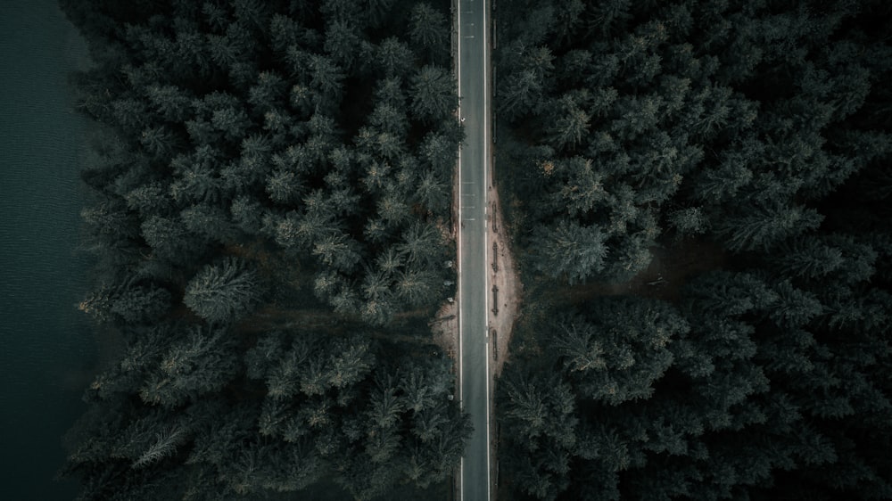 an aerial view of a road in the middle of a forest