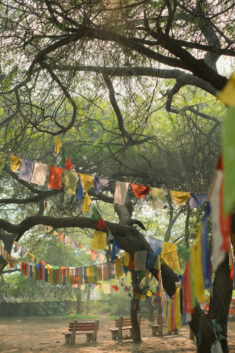 a group of colorful flags hanging from a tree