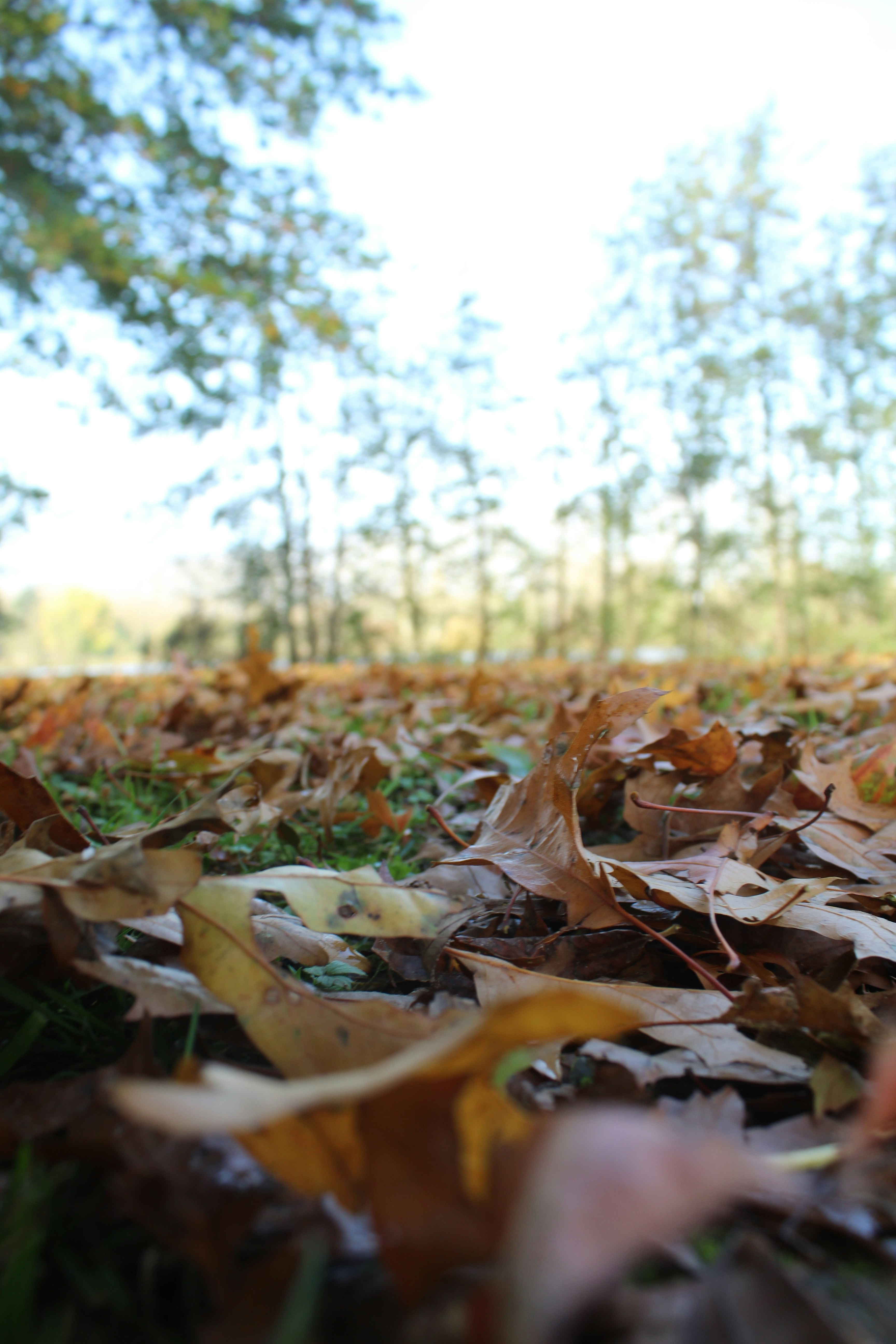 Photo by larissagyselinck