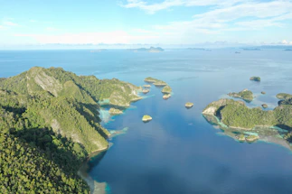 A serene view of Galápagos islands with turquoise waters and lush greenery under a clear sky